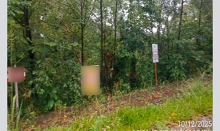 Imóvel 3025932 [''] - ['Rua Bosque das Coníferes, sn (Lote 31 da Quadra 02)'] [''] - ['Nova Petrópolis']/['RS'] - 1