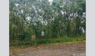 Imóvel 3031132 [''] - ['Rua Bosque das Coniferas S/N (Lote 30 da Quadra 02)'] [''] - ['Nova Petrópolis']/['RS'] - 1