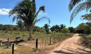 Imóvel 2596632 [''] - ['Nao informado Nao informado'] [''] - ['Redenção']/['PA'] - 1