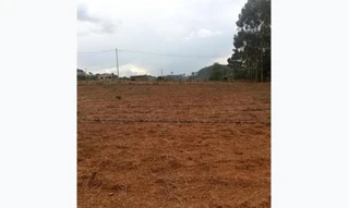 Imóvel 2677132 [''] - ['RUA IPAMIRI, SETOR NORDESTE, São Francisco de Goiás/GO'] [''] - ['São Francisco de Goiás']/['GO'] - 1