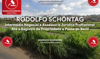 Imóvel 2897932 [''] - ['Uma gleba de terras localizadas no perimetro urban'] [''] - ['Uberlândia']/['MG'] - 1
