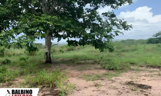 Imóvel 2631133 [''] - ['Acesso pela MT-270, com trecho em estrada vicinal, passando pelos Distritos de Alcantilado e Alto Diamantino, Guiratinga, MT'] [''] - ['Guiratinga']/['MT'] - 1