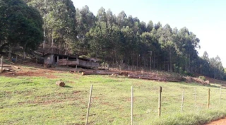 Imóvel 2705033 [''] - ['FAZENDA LARANJEIRAS'] ['Centro'] - ['Laranjeiras Do Sul']/['PR'] - 1