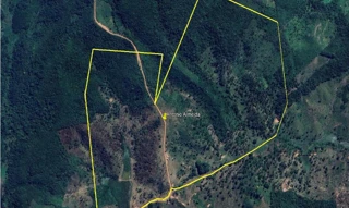 Imóvel 3067033 [''] - ['Áreas de terras, denominadas Fazenda Pais e Filhos, Fazenda Esperança e Furo da Pipa e Outras, Áreas rurais - Esperantinópolis/MA'] [''] - ['Esperantinópolis']/['MA'] - 1
