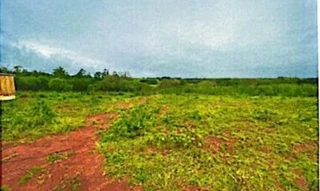 Imóvel 2649133 [''] - ['Situado nesta cidade São Luiz Gonzaga/RS. Faz frente para a Rua Maria Manoela Pinheiro Machado e para a Av. Senador Pinheiro Machado'] [''] - ['São Luiz Gonzaga']/['RS'] - 1