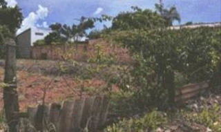 Imóvel 3002133 [''] - ['Avenida Marcos Luporini, Jardim São José, Vianópolis/GO'] [''] - ['Vianópolis']/['GO'] - 1