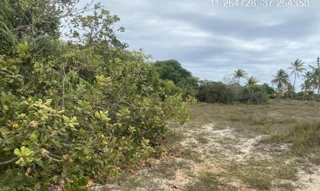 Imóvel 2276933 ['IDR184652'] - ["Estrada do Abais, s/n, Quadra 104, Lote 34, Loteamento Vila Rica do Abais, Itaporanga D'Ajuda, SE, 49120-000"] [''] - ["Itaporanga D'Ajuda"]/['SE'] - 1