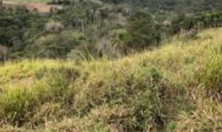Imóvel 2832333 [''] - [''] [''] - ['Prudentópolis']/['PR'] - 1