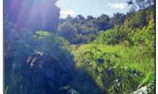 Imóvel 2536733 ['10218088'] - ['RUA LAMBARI,N. 243 CHÁCARA G-2, JARDIM ALVORADA - CEP: 87308-300, CAMPO MOURAO - PARANA'] ['Jardim Alvorada'] - ['Campo Mourão']/['PR'] - 1