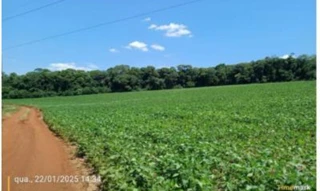 Imóvel 2939633 [''] - ['Redentora - RS'] [''] - ['Redentora']/['RS'] - 1