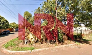 Imóvel 2638733 [''] - ['Rua Francisca Pereira, 275 - Pitangueiras - SP'] ['Pedro de Felício'] - ['Pitangueiras']/['SP'] - 1