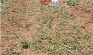 Imóvel 2723034 [''] - ['Bairro Água do Cedro, com acesso pela Estrada Municipal JRH-360'] [''] - ['João Ramalho']/['SP'] - 1