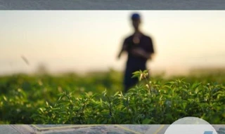 Imóvel 2606534 [''] - ['Av. Norte, Qd. 33, Nº. 1.612, Bairro Portal do Sol'] [''] - ['Jataí']/['GO'] - 1