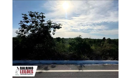 Imóvel rural em Poconé, , Zona Rural, MT. Área: 145m2