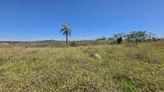 Imóvel 3040234 [''] - ['zona rural do Município de Tiros/MG, região de Fragata/Cedro do Abaeté/Nau de Guerra'] [''] - ['Tiros']/['MG'] - 1