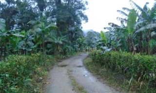Imóvel 2879834 [''] - [''] [''] - ['Garuva']/['SC'] - 1