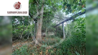 Imóvel 3029634 [''] - ['localizado na zona da Palmeira'] [''] - ['Aiquara']/['BA'] - 1