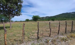 Imóvel 2886534 [''] - ['Sertânia, PE'] [''] - ['Sertânia']/['PE'] - 1