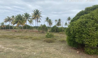 Imóvel 2276934 ['IDR184633'] - ["Estrada do Abais, s/n, Quadra 104, Lote 15, Loteamento Vila Rica do Abais, Itaporanga D'Ajuda, SE, 49120-000"] [''] - ["Itaporanga D'Ajuda"]/['SE'] - 1
