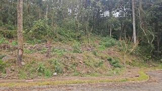 Imóvel 2504134 [''] - ['Rua Bosque das Araucárias, Linha Imperial'] [''] - ['Nova Petrópolis']/['RS'] - 1