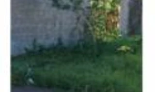 Imóvel 2589834 [''] - ['Alameda Thermistocles Figueiredo, Lot. Santa Cecília'] ['Cristo Redentor'] - ['Corumbá']/['MS'] - 1