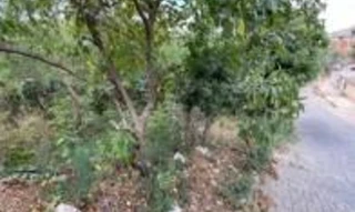 Imóvel 2976934 [''] - ['lote 25, quadra nº. 37, da planta do loteamento do Bairro Vila dos Montes'] ['Vila dos Montes'] - ['Governador Valadares']/['MG'] - 1