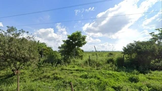 Imóvel 1681835 [''] - ['A. Rural , Imóvel Rural - Area Rural De Campos Dos Goytacazes - Campos Dos Goytacazes'] ['Parque São Caetano'] - ['Campos Dos Goytacazes']/['RJ'] - 1