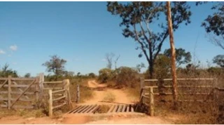 Imóvel 3068235 [''] - ['Estrada Vicinal, s/nº - Fazenda Barreirinho - Área Rural - Várzea da Palma / MG'] [''] - ['Várzea Da Palma']/['MG'] - 1