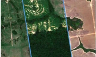 Imóvel 2600235 [''] - ['Avenida Rondônia, seguindo pela MT-410, entrando para esquerda na MT-320'] [''] - ['Nova Canaã Do Norte']/['MT'] - 1