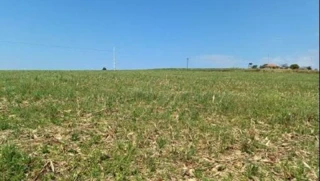 Imóvel 2967235 [''] - ['Estrada Rural, Gleba 14, Colônia Muquilão, Nova Tebas, PR'] [''] - ['Nova Tebas']/['PR'] - 1