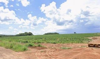 Imóvel 2852335 [''] - ['Área Rural, Área Rural de Uberlândia, Uberlândia, MG'] [''] - ['Uberlândia']/['MG'] - 1