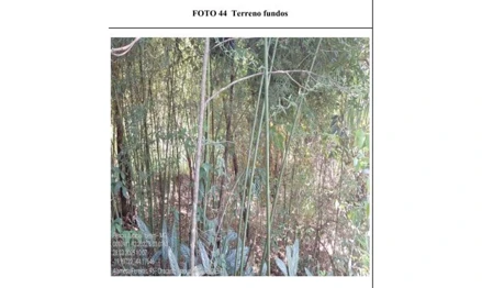 Terreno em Betim, Bandeirinhas, Rua Primavera, s/n, Bandeirinhas, MG. Área: 678.76m2