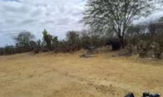 Imóvel 2583235 [''] - ['Sitio lagoa da Muriçoca, s/n - zona rural'] [''] - ['Dormentes']/['PE'] - 1