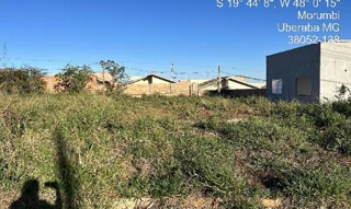 Imóvel 3050435 ['8444434337030'] - ['RUA JUVENAL ALVES DE OLIVEIRA,N. SN QD A LT 07 ZR 2 ZONA RESIDENCIAL 2, UPG MARAJO - CEP: 38106-000, UBERABA - MINAS GERAIS'] [''] - ['Uberaba']/['MG'] - 1