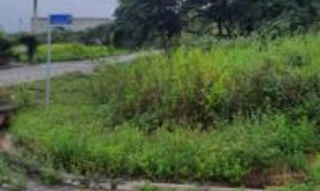 Imóvel 2589835 [''] - ['Fazenda Cristo Rei, lote 15, quadra G, Lot. Cristo Rei'] [''] - ['Gravatá']/['PE'] - 1