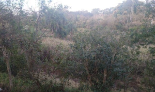 Imóvel 2655335 [''] - ['Lote 04, Quadra 08, Avenida Sao Joao'] ['Brasília'] - ['Londrina']/['PR'] - 1