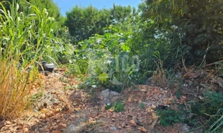 Imóvel 2598335 [''] - ['RUA DOIS, S/Nº- QUADRA: M LOTE: 09'] ['Distrito Industrial'] - ['São José Do Rio Pardo']/['SP'] - 1