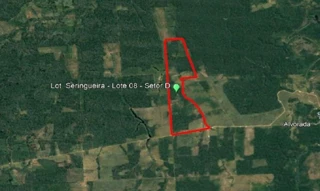 Imóvel 2606436 [''] - ['Rodovia Pa/150, Vicinal do Projeto Seringa, s/n - Lote 08 - Setor D - Zona Rural - Moju / PA'] [''] - ['Moju']/['PA'] - 1