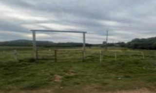 Imóvel 3001436 [''] - ['Sem denominação, S/N, Chácara das Figueiras, Zona Rural, Rosário do Sul, RS, 97590-000,'] [''] - ['Rosário Do Sul']/['RS'] - 1