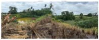 Imóvel 2870436 [''] - ['Distrito Agroindustrial de Paraíso do Tocantins'] [''] - ['Paraíso Do Tocantins']/['TO'] - 1