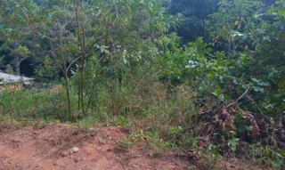 Imóvel 2485636 [''] - ["ESTRADA MUNICIPAL DA CAIXA D'ÁGUA, S/N, JURUPUÁ"] [''] - ['Piedade']/['SP'] - 1