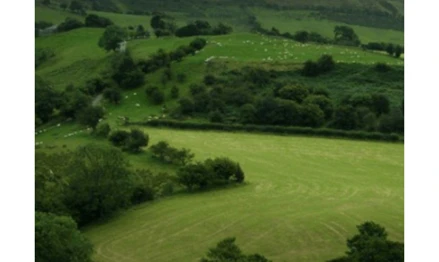 Imóvel rural em Celso Ramos, , Fazenda Entre Rios, s/n, SC. Área: 275000m2