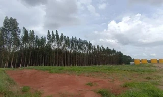 Imóvel 2584436 [''] - ['RODOVIA PR 170, PQ Industrial II'] [''] - ['Prado Ferreira']/['PR'] - 1