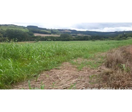 Imóvel rural em Saltinho, , Linha samambaia, interior de Saltinho, SC. Área: 1210000m2