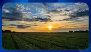 Imóvel 2522936 [''] - ['Bairro Gerivá, Zona Rural de Caldas'] [''] - ['Caldas']/['MG'] - 1