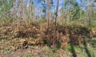 Imóvel 2568836 [''] - ['Estrada 36, Loteamento Rural Eldorado - 4ª Parte'] [''] - ['Eldorado Do Sul']/['RS'] - 1