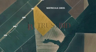 Imóvel 2876936 [''] - ['Lote nº 18 - Projeto de Colonização Boa Esperança'] [''] - ['Tapurah']/['MT'] - 1