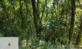 Imóvel 3031236 [''] - ['Nao informado Nao informado Linha 1o Seccao Rio Burati'] [''] - ['Bento Gonçalves']/['RS'] - 1