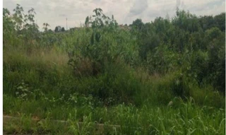 Imóvel 2709536 [''] - ['Rua Antônio Santoni, s/nº - Lote 12 da Quadra 14 - Jardim Fogaça - Itapetininga / SP'] ['Jardim Fogaca'] - ['Itapetininga']/['SP'] - 1