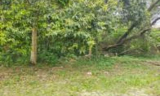 Imóvel 2695636 [''] - ['Avenida Cabo Frio,'] ['Ipitangas'] - ['Saquarema']/['RJ'] - 1